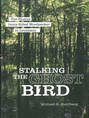 cover image of Stalking the Ghost Bird